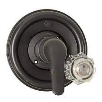 Shower Handle